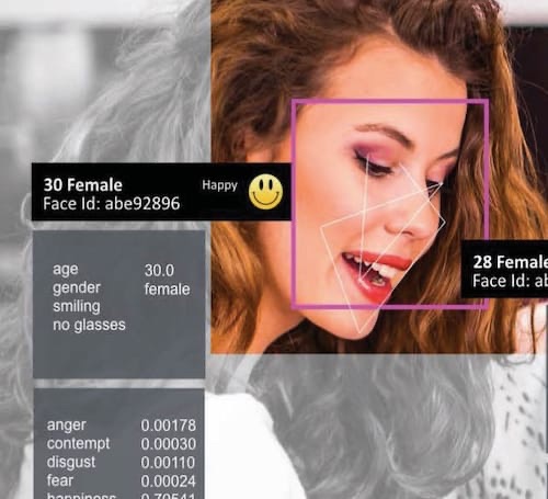 Anonymous_Video_Analytics